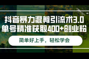 抖音暴力混剪引流术3.0单号精准获取400+创业粉简单好上手，轻松学会-欢迎访问本站