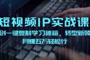 短视频 IP实战课，独创一键复制学习秘籍，转战新领域，月赚五万轻松行-欢迎访问本站