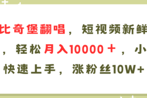 AI比奇堡翻唱歌曲，短视频新鲜赛道，轻松月入10000＋，小白快速上手，…-欢迎访问本站