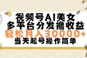 视频号AI美女，轻松月入30000+,操作简单轻松上手-欢迎访问本站