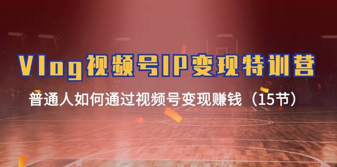 图片[1]-Vlog 视频号IP变现特训营，普通人如何通过视频号变现赚钱-欢迎访问本站