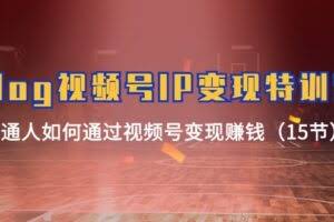 Vlog 视频号IP变现特训营，普通人如何通过视频号变现赚钱-欢迎访问本站