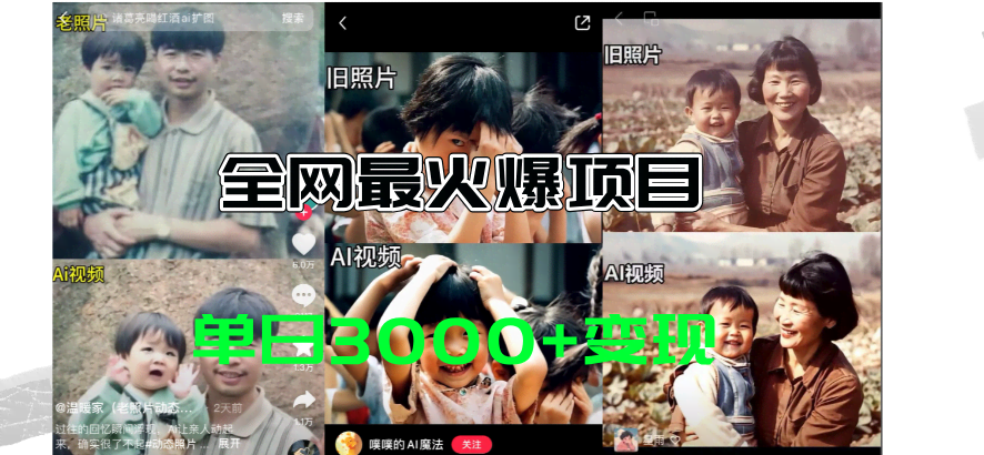 图片[1]-全网爆火的AI让老照片动起来教程，蹭热点日赚3000+，内含免费工具一键…-欢迎访问本站