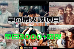 全网爆火的AI让老照片动起来教程，蹭热点日赚3000+，内含免费工具一键…-欢迎访问本站