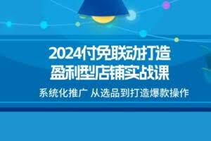 2024付免联动-打造盈利型店铺实战课，系统化推广 从选品到打造爆款操作-欢迎访问本站