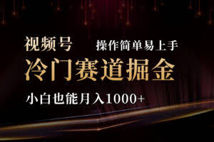 2024视频号三国冷门赛道掘金，操作简单轻松上手，小白也能月入1000+-欢迎访问本站