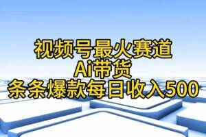 视频号最火赛道——Ai带货条条爆款每日收入500-欢迎访问本站