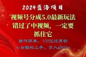 2024蓝海项目，视频号分成计划5.0最新玩法，错过了中视频，一定要抓住…-欢迎访问本站