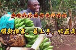 奥德彪经典语录小项目，爆款推荐，易上手，收益高-欢迎访问本站