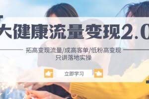大健康 流量 变现2.0：拓高变现 流量/成高客单/低粉高变现/只讲落地实战-欢迎访问本站