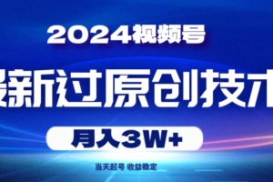2024视频号最新过原创技术，当天起号，收益稳定，月入3W+-欢迎访问本站