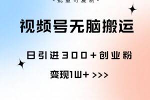 视频号无脑搬运日引300+创业粉，变现1W+可批量复制-欢迎访问本站