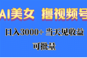 AI美女 撸视频号分成,当天见收益,日入3000+,可批量!!!-欢迎访问本站
