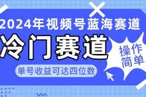 2024视频号冷门蓝海赛道，操作简单 单号收益可达四位数-欢迎访问本站