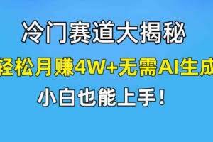 快手无脑搬运冷门赛道视频“仅6个作品 涨粉6万”轻松月赚4W+-欢迎访问本站