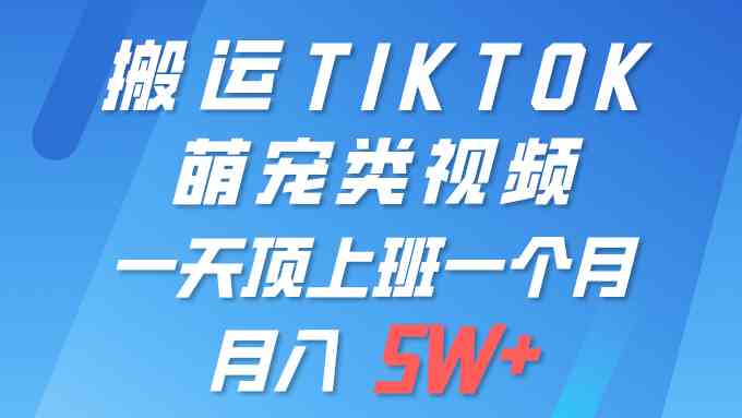 图片[1]-一键搬运TIKTOK萌宠类视频 一部手机即可操作 所有平台均可发布 轻松月入5W+-欢迎访问本站