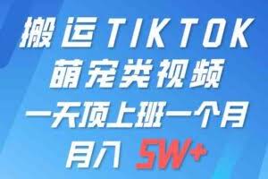 一键搬运TIKTOK萌宠类视频 一部手机即可操作 所有平台均可发布 轻松月入5W+-欢迎访问本站