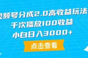 视频号分成2.0高收益玩法，千次播放100收益，小白日入3000+-欢迎访问本站