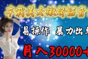 车载女生撒娇语音包，易操作，暴力出单，月入30000+-欢迎访问本站