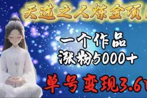 天选之人炼金项目，一个作品涨粉5000+，单号变现3.6w-欢迎访问本站