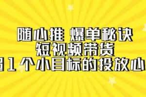 随心推 爆单秘诀，短视频带货-超1个小目标的投放心得-欢迎访问本站