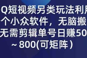 QQ短视频另类玩法，利用一个小众软件，无脑搬运，无需剪辑单号日赚500～…-欢迎访问本站