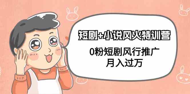 图片[1]-短剧+小说风火特训营，0粉短剧风行推广，月入过万-欢迎访问本站