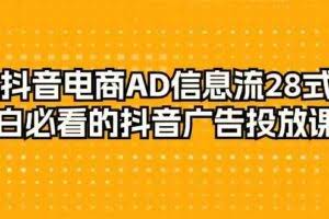 抖音电商-AD信息流 28式，小白必看的抖音广告投放课程-29节-欢迎访问本站