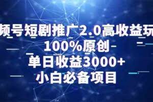 视频号短剧推广2.0高收益玩法，100%原创，单日收益3000+，小白必备项目-欢迎访问本站