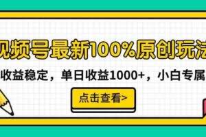 视频号最新100%原创玩法，收益稳定，单日收益1000+，小白专属-欢迎访问本站