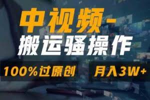 无脑双重去重原创视频，100%中视频+视频号分成计划，一键多平台发布小白…-欢迎访问本站