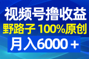 视频号野路子撸收益，100%原创，条条爆款，月入6000＋-欢迎访问本站