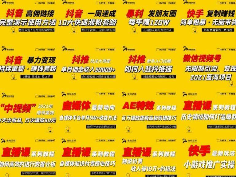 高级合伙人vip会员课程合集，帮助上万人通过短视频变现益利-欢迎访问本站